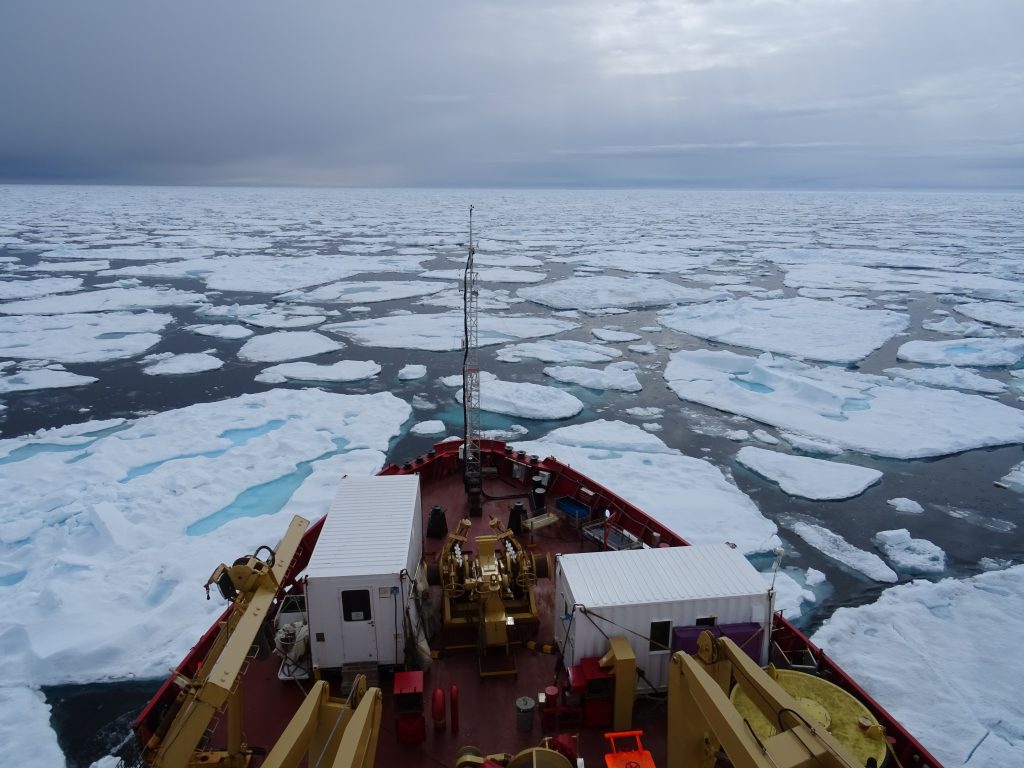 Shipping warning as centuries-old sea ice released from the Arctic
